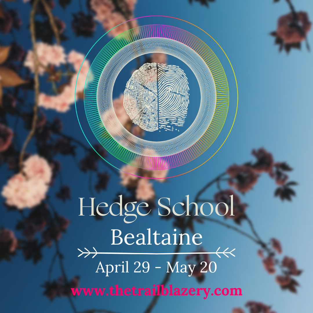 ANNOUNCEMENT | Doors now OPEN for Hedge School Bealtaine Spiral 🌀 🌸