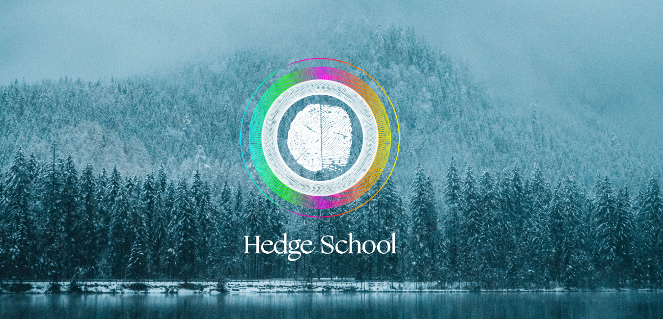 Postcards from The Hedge - Dispatch 11 ❄💙❄