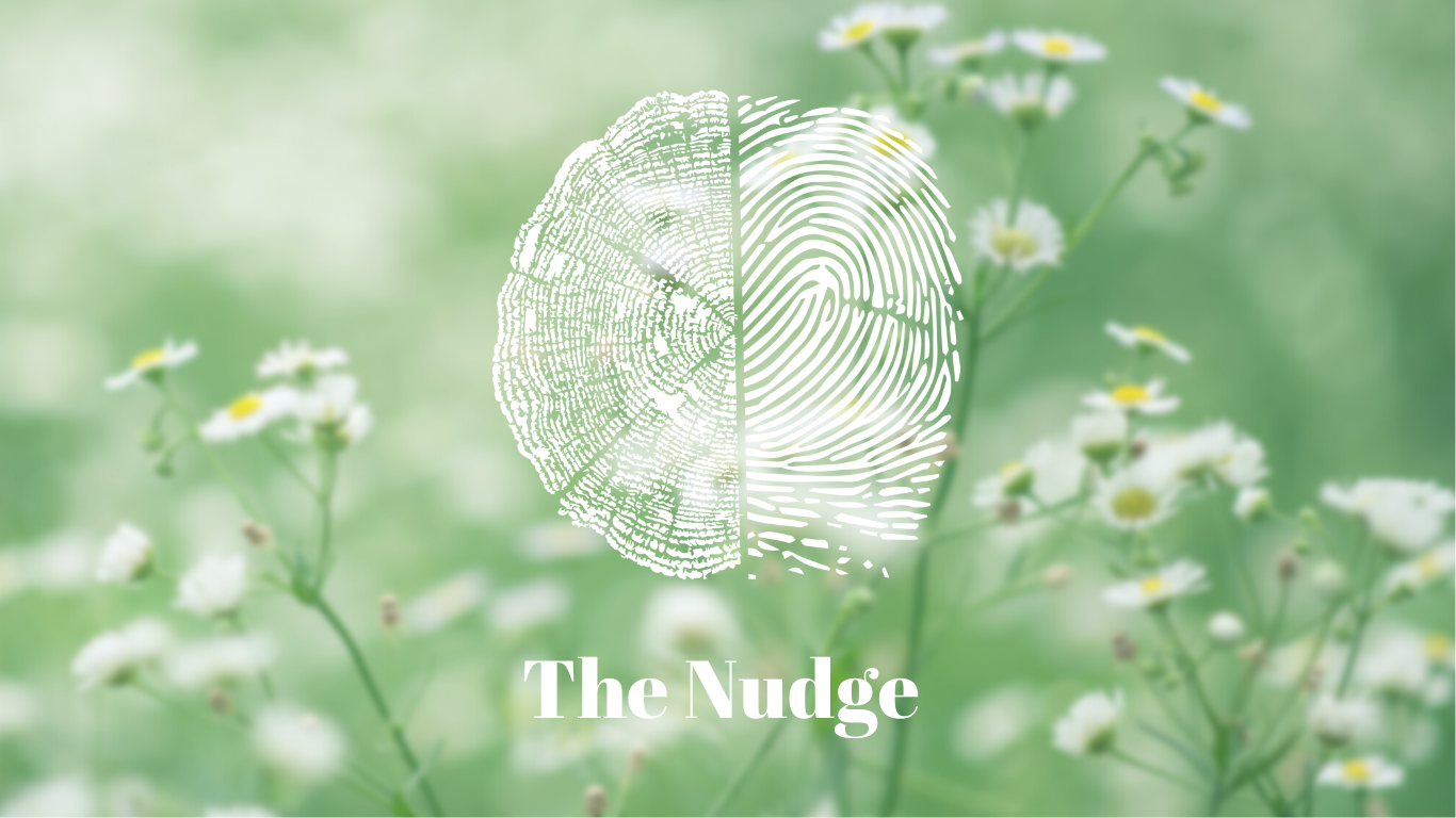 The Nudge | Dispatch 3