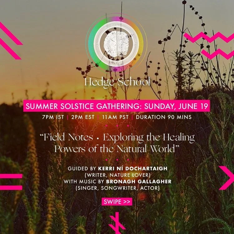 Join our Summer Solstice gathering at Hedge School gathering