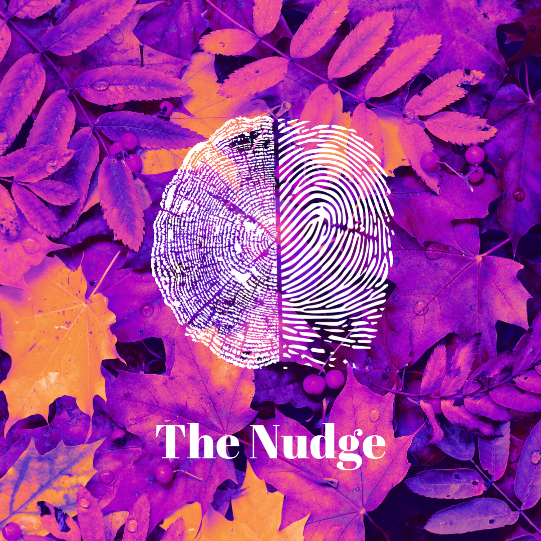 The Nudge | Dispatch 7 | Equinox 2022