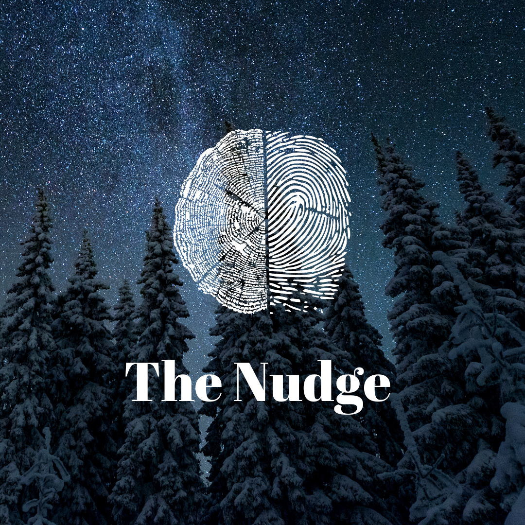 The Nudge │Dispatch 9