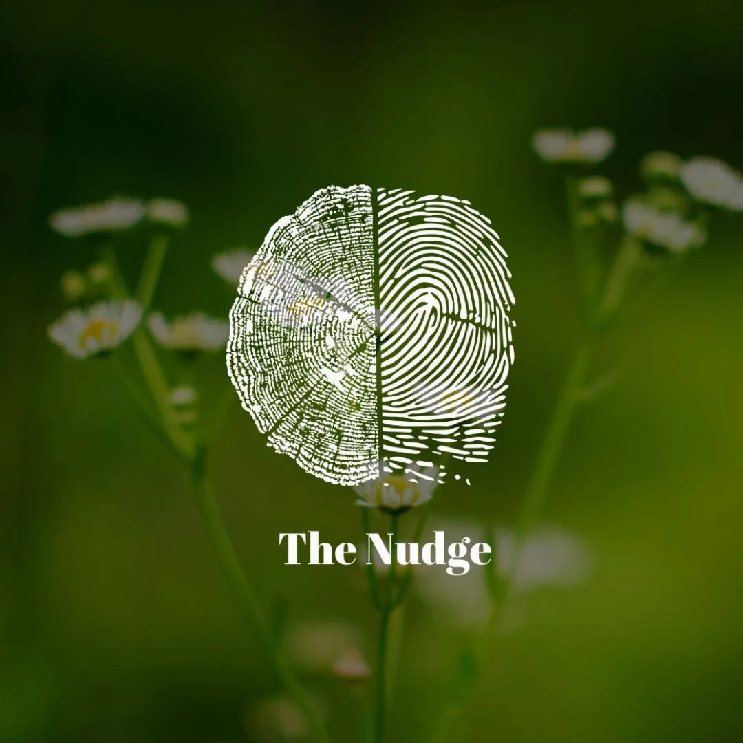  The Nudge - Dispatch 11 | Spring Equinox 🦋🌿