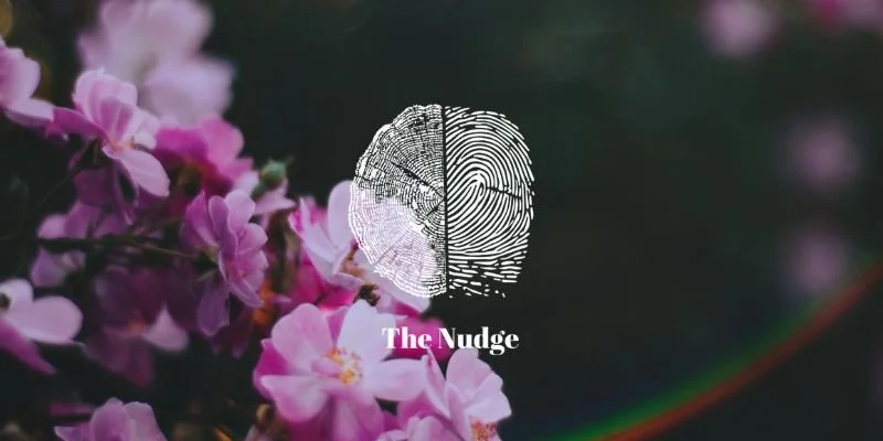 The Nudge - Dispatch 12 | Bealtaine 2023