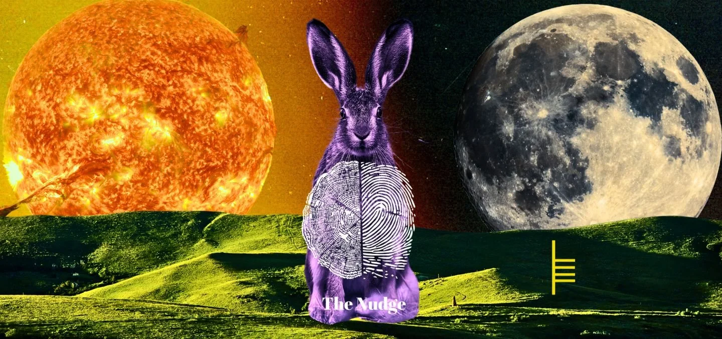 The Nudge - Dispatch 19 | Spring Equinox