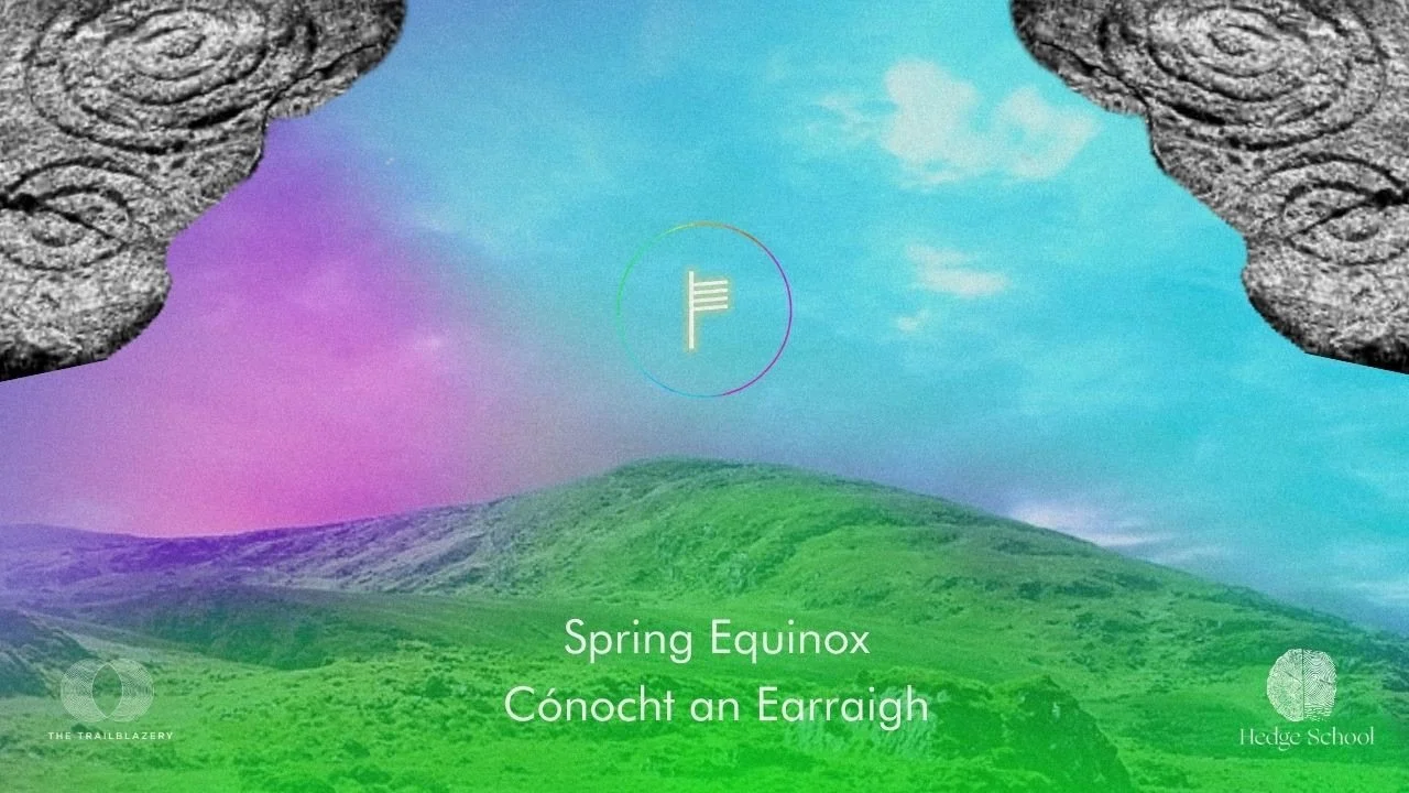 The Nudge - Dispatch 27 | Spring Equinox 🌿
