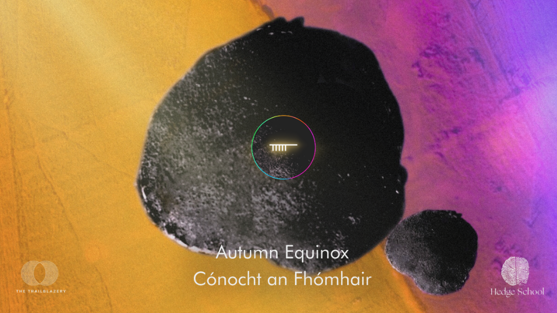 The Nudge - Dispatch 31 | Autumn Equinox