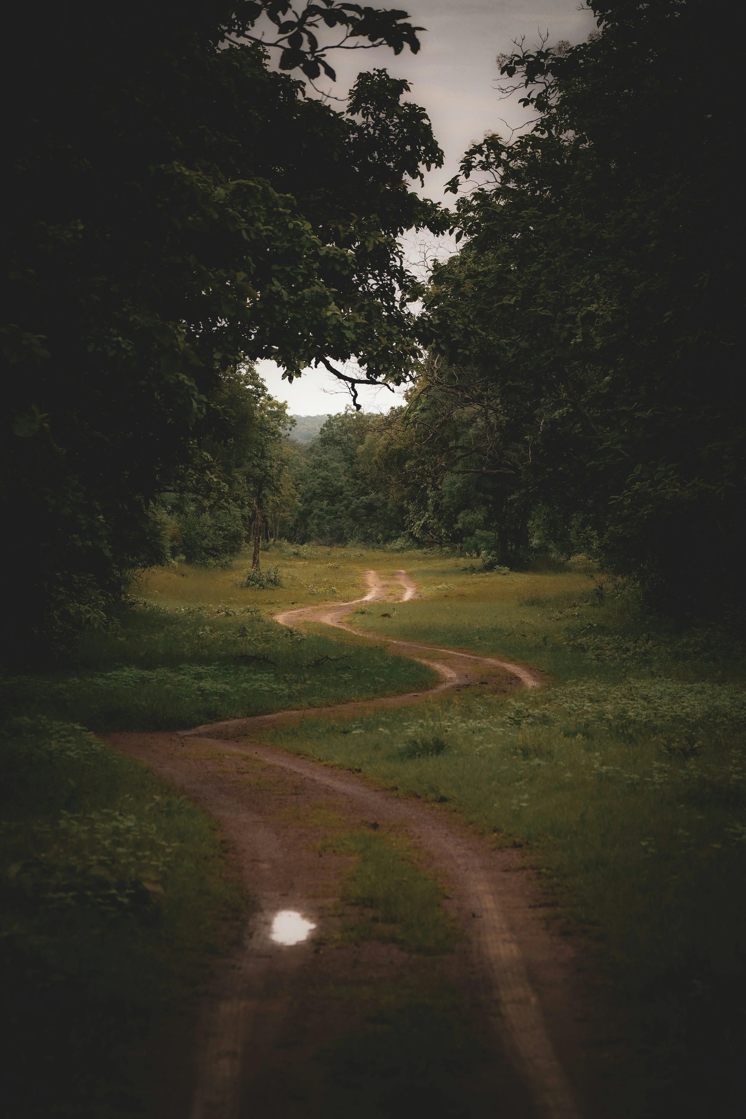 vinay-manda-zOIFI4wBx5c-unsplash.jpg