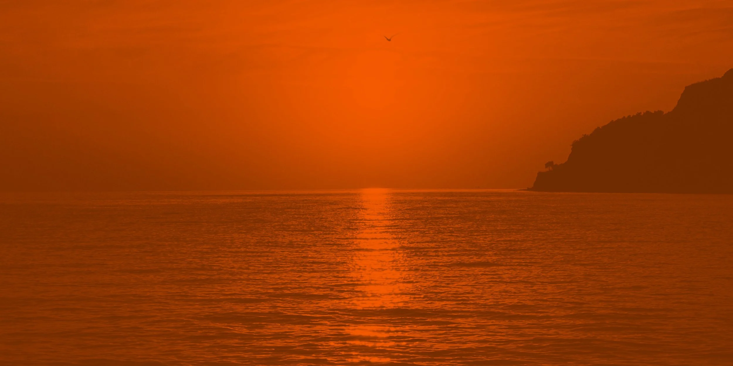 SSSS Web Banners.jpg