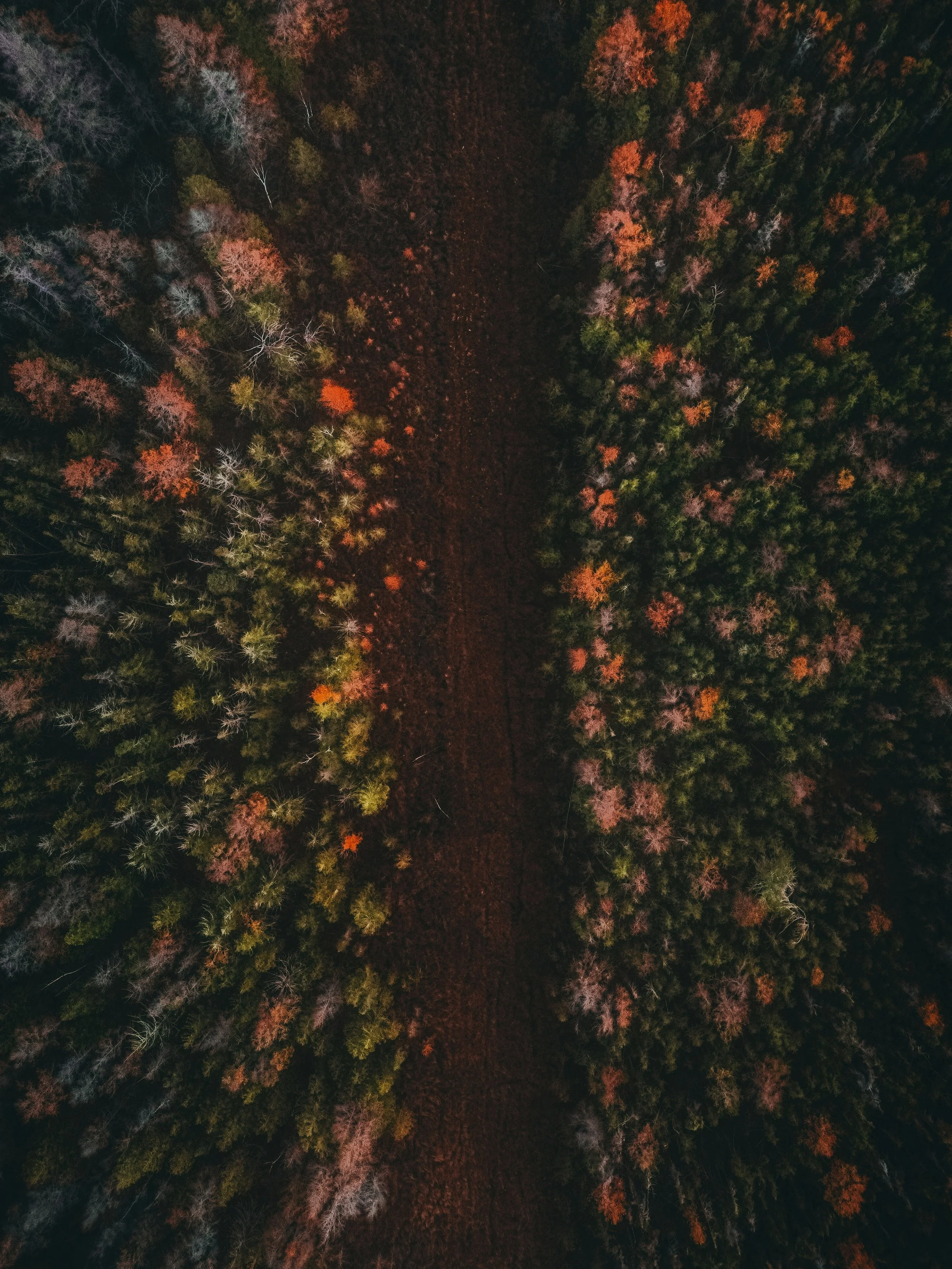 hans-pC0Tz45TCig-unsplash.jpg