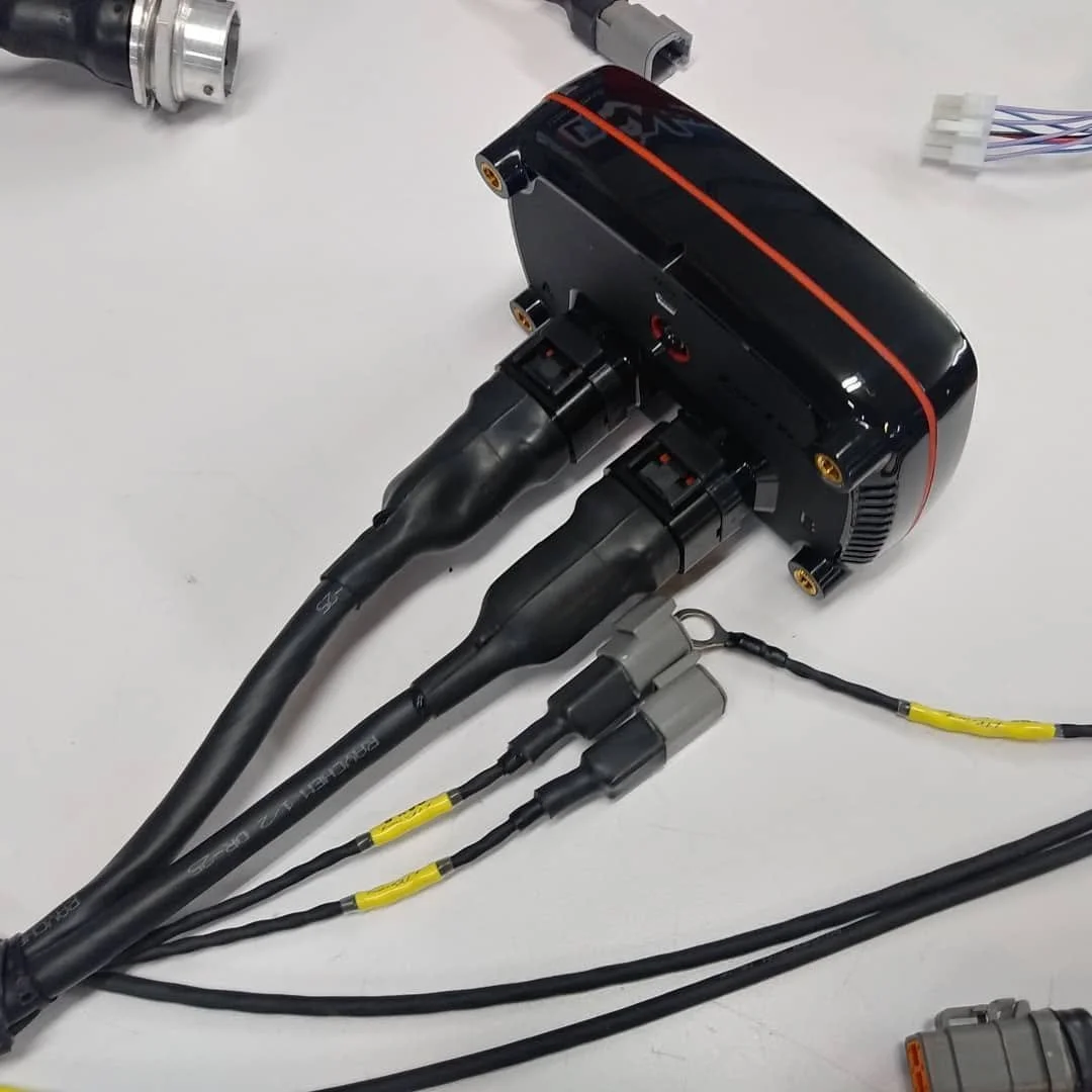 ltr-ecu-harness-branches.jpg