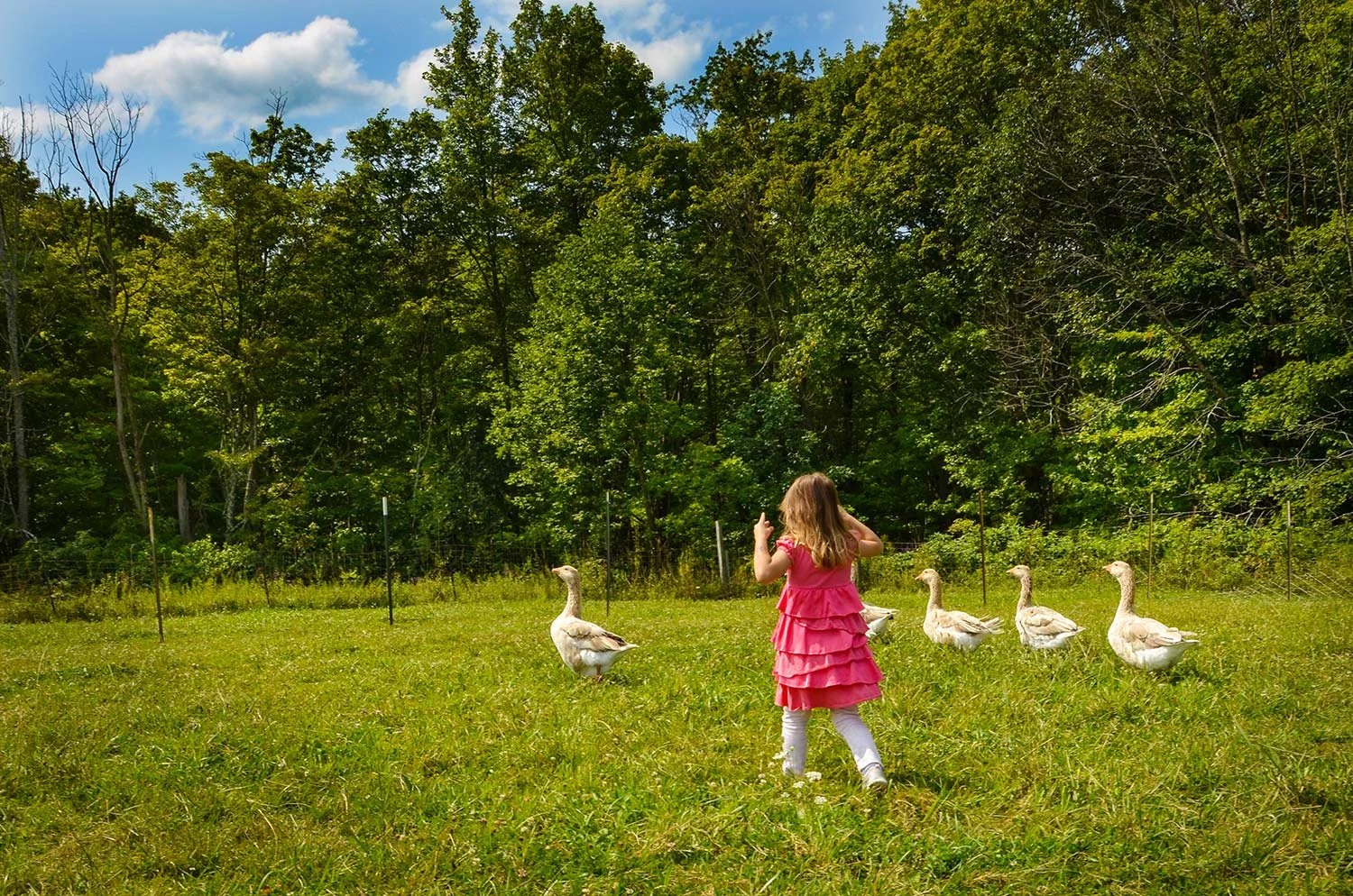 A Day at the Farm!