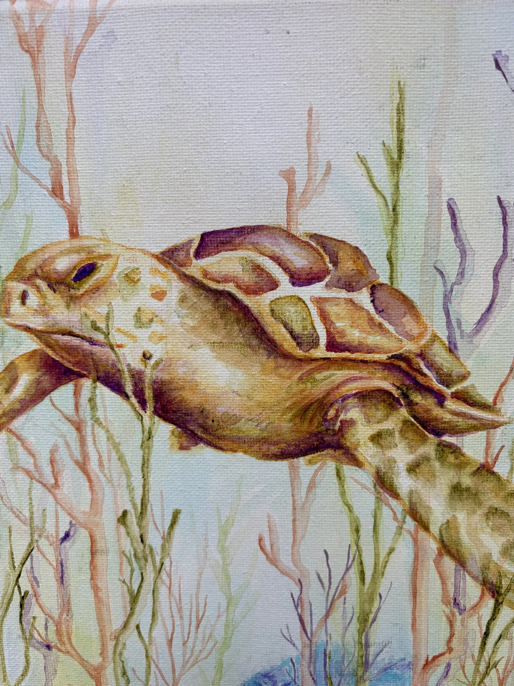 8” x 10” Sea Turtle $50.00
