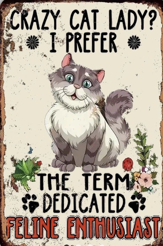 8” x 12” Crazy Cat Lady $16.00