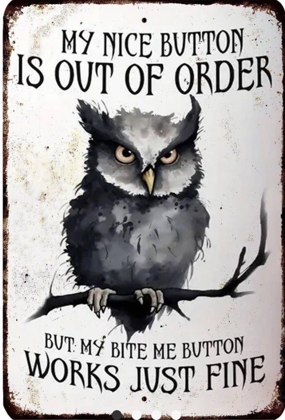 8” x 12” My Nice Button $16.00