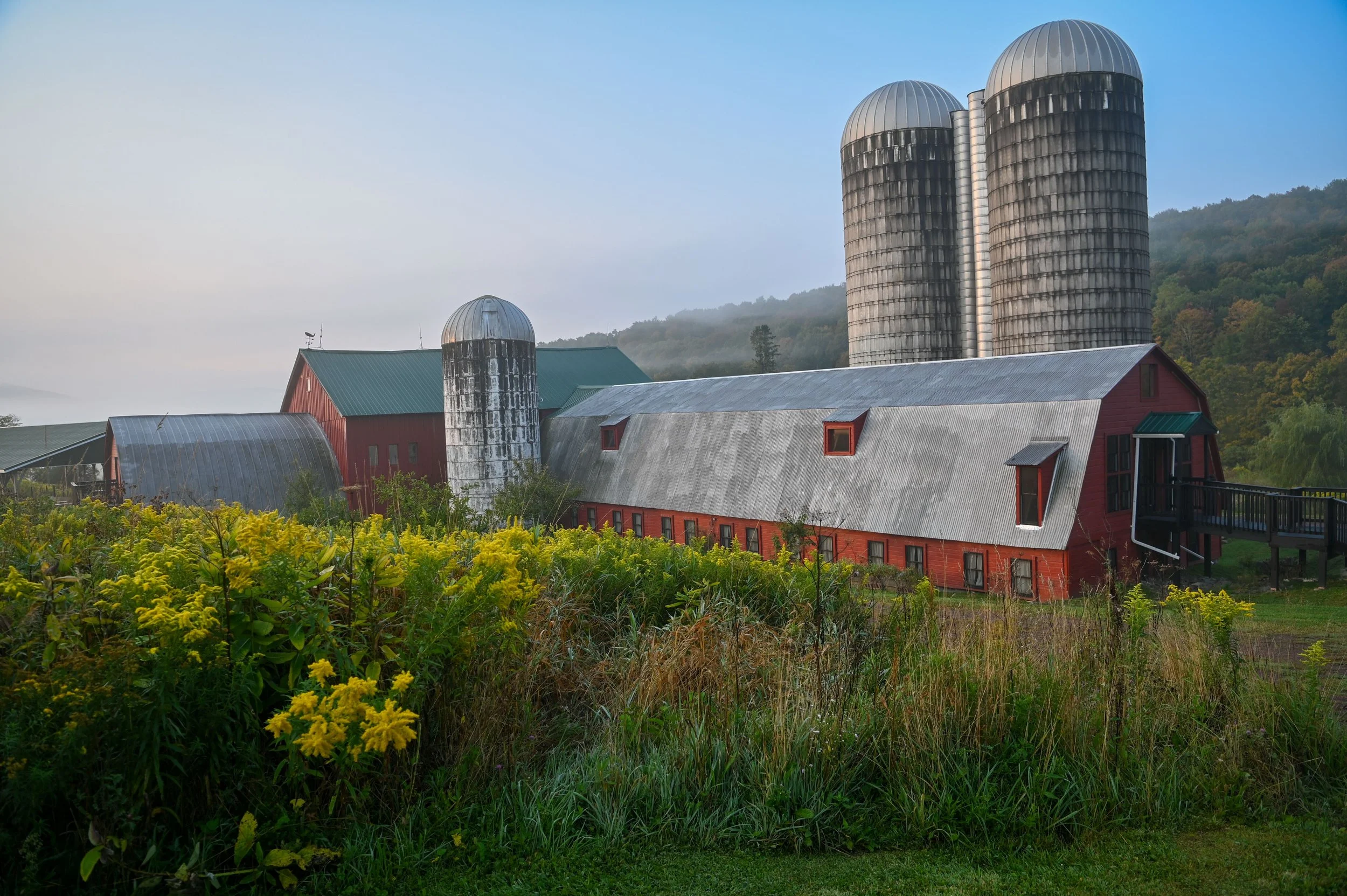 MilkwoodFarmResidency-Sept2024-09.jpg