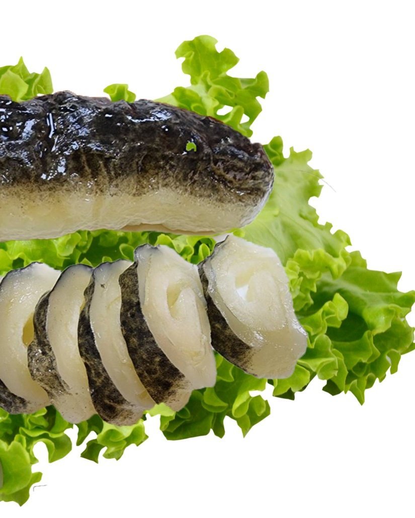 vegan sea cucumber.jpg