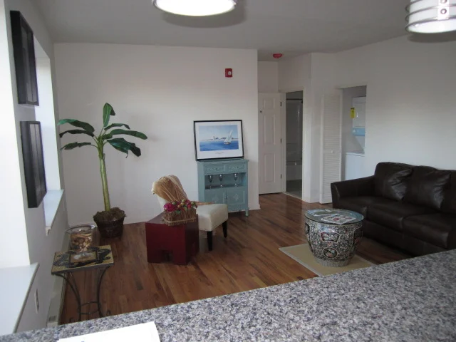 living room from kitchen.JPG