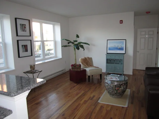 pretty living room.JPG