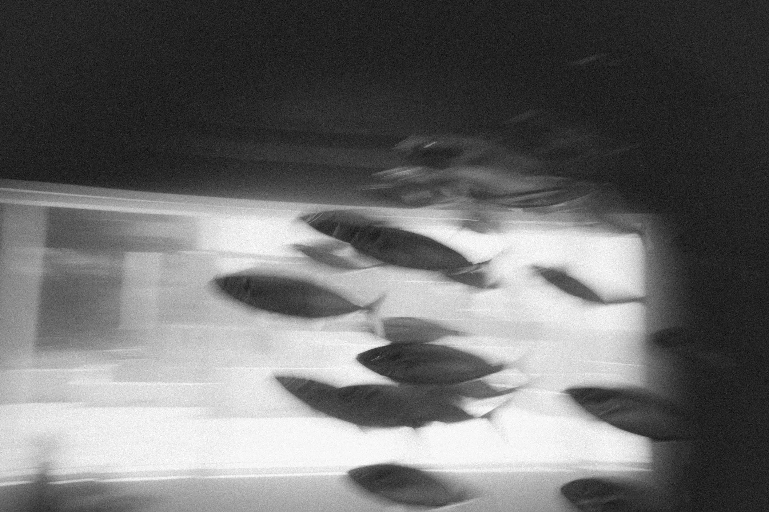 20230312-_M011842+2.jpg