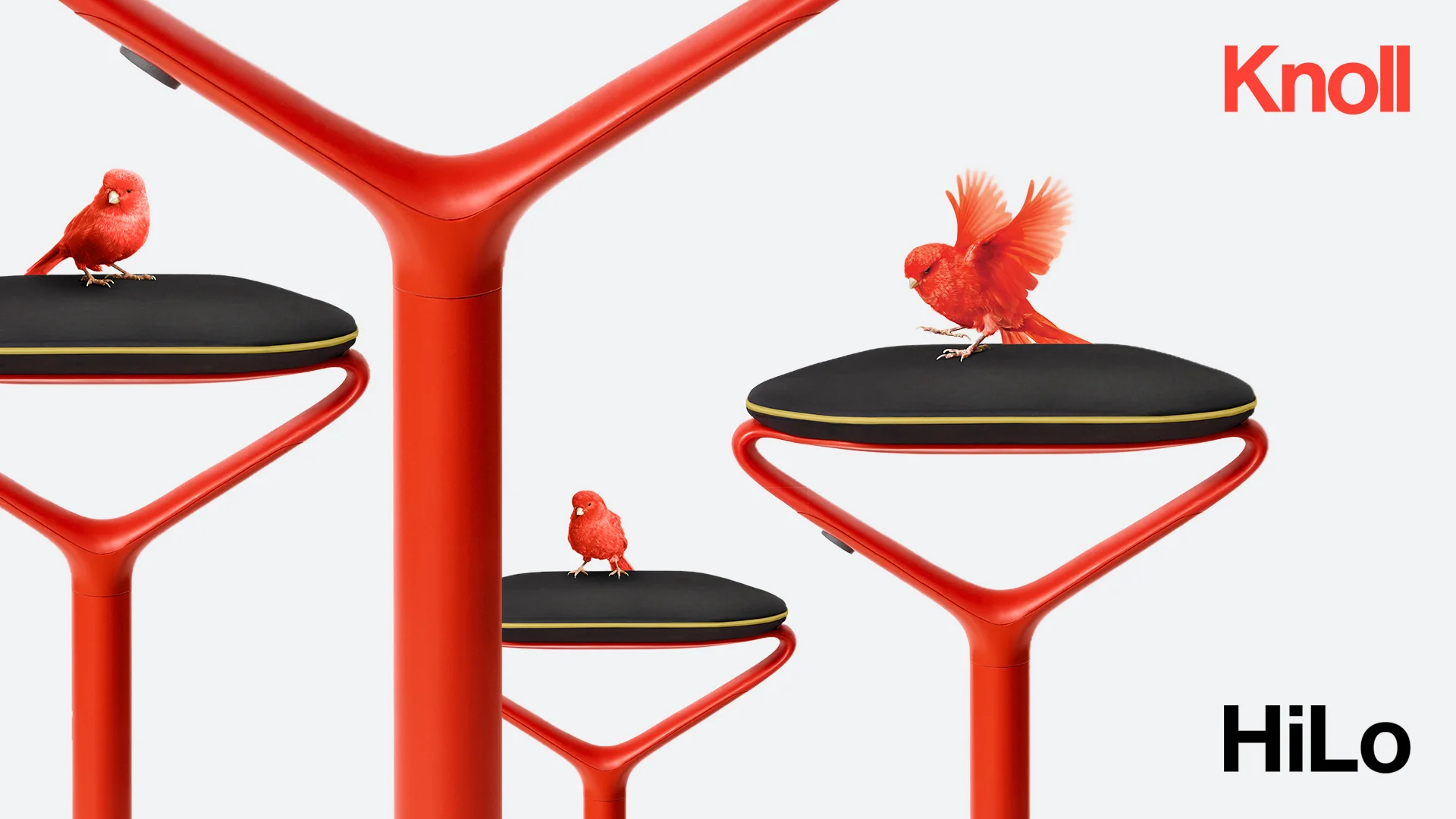Carousel_01.jpg