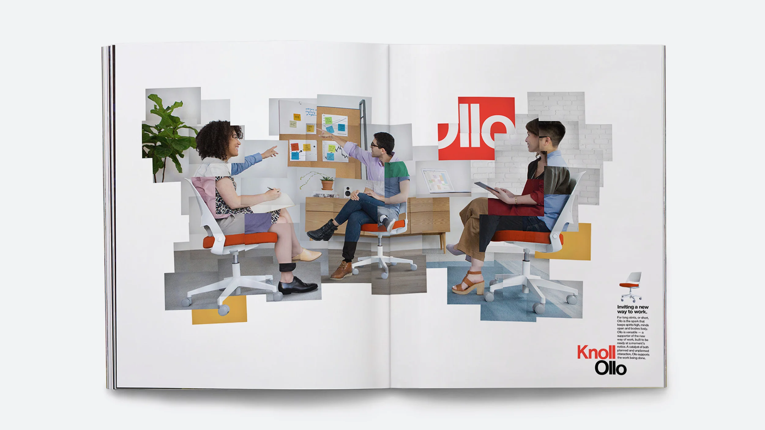 Knoll_Ollo_4.1.jpg