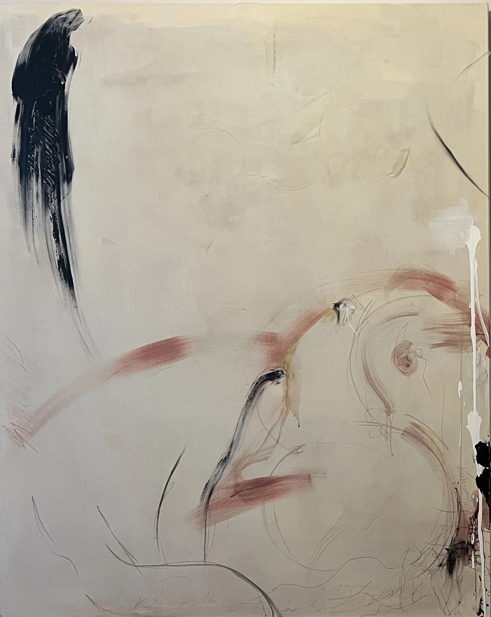 Untitled 6.jpg