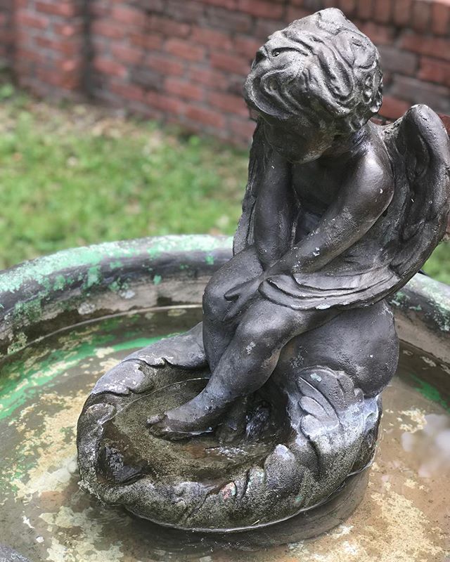 I&rsquo;m adding things around my home with intention.  I waited for the perfect fountain to find its way to #twietsnest ......#twietstinyfarm #saltylotuslife #fullypresentwhollyhealthy