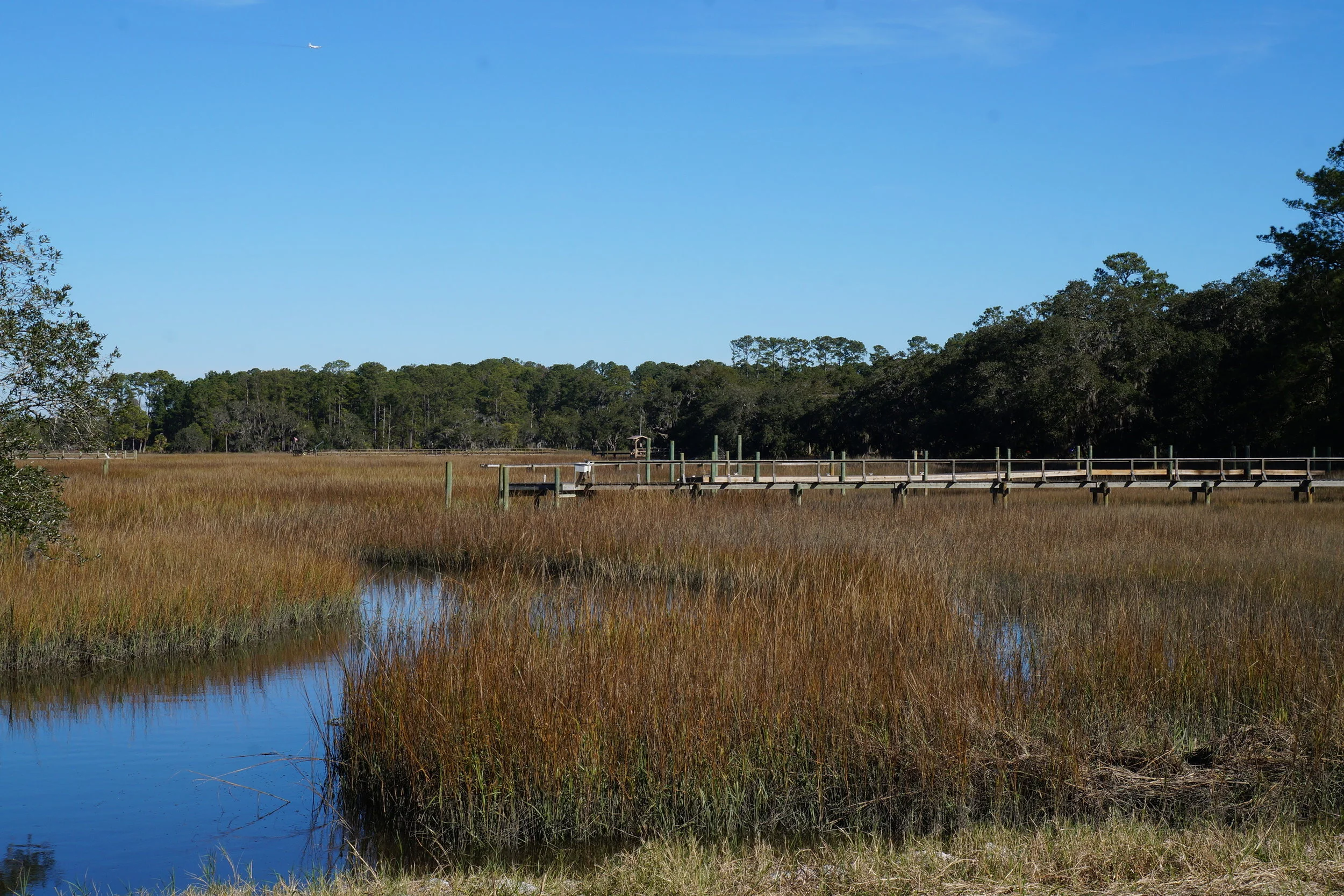 Red Bluff — Lowcountry Premier Home Sites