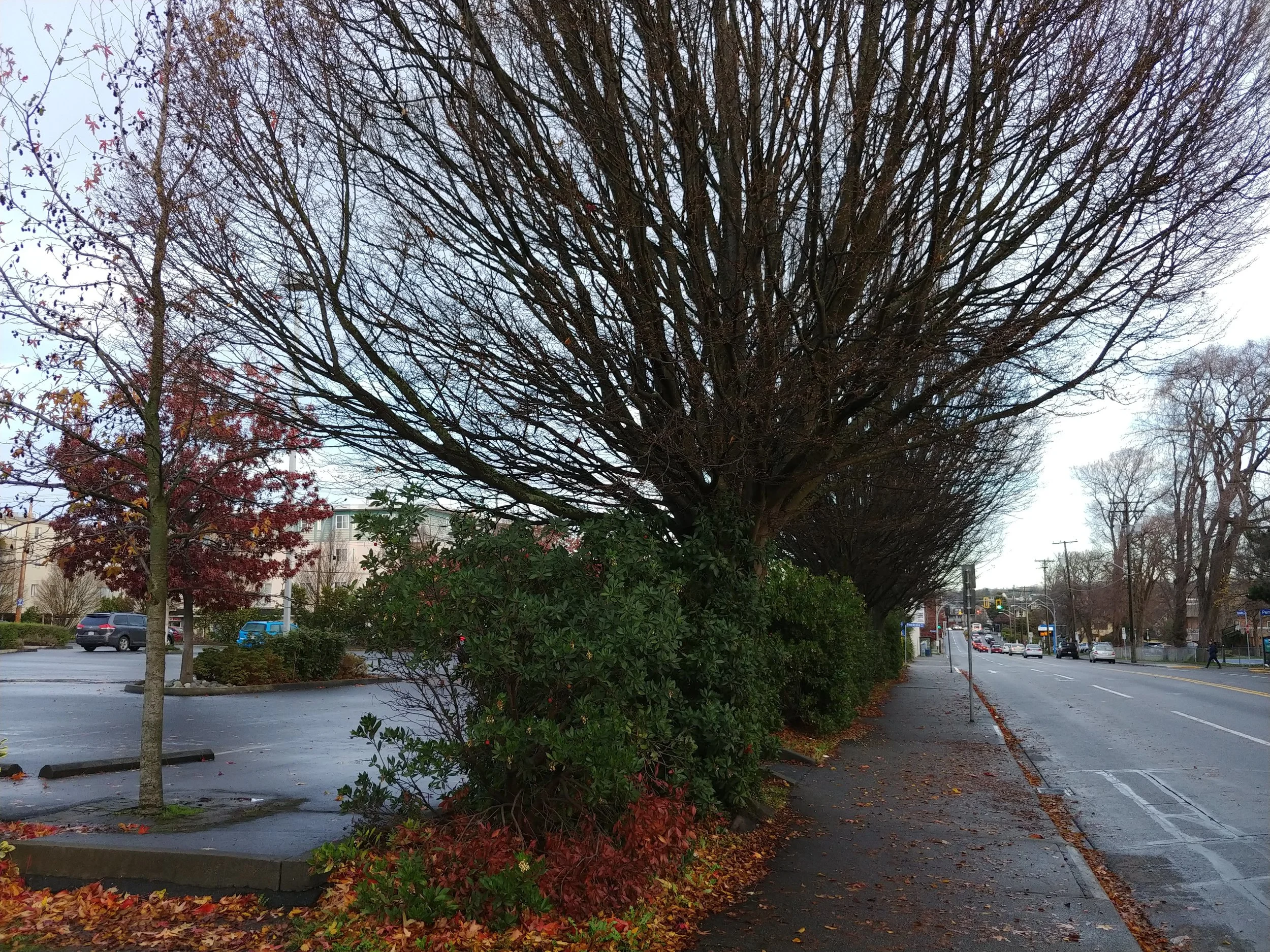 Imagine a wide sidewalk with stores and cafes here!