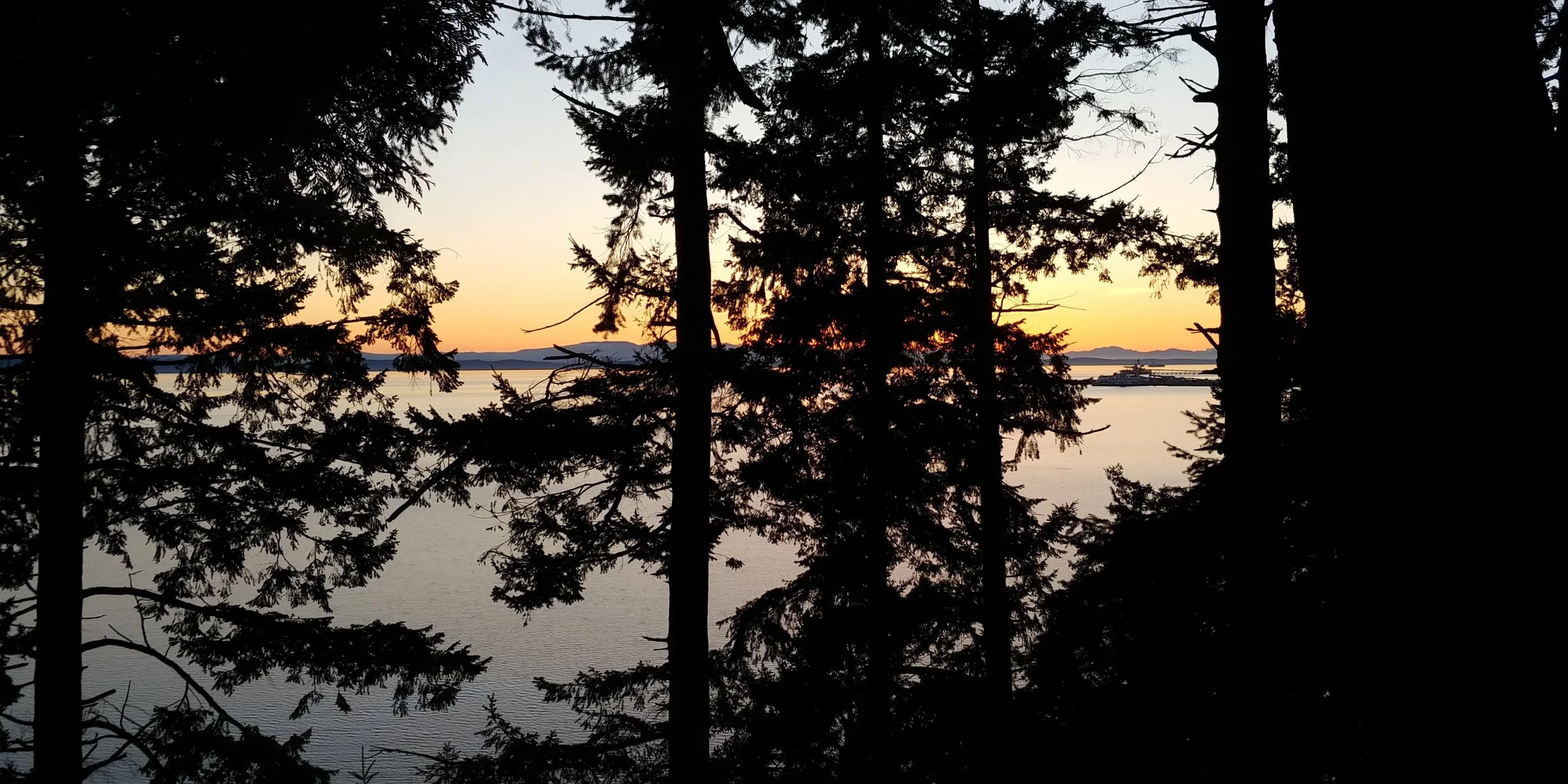 20190318_192918_HDR.jpg