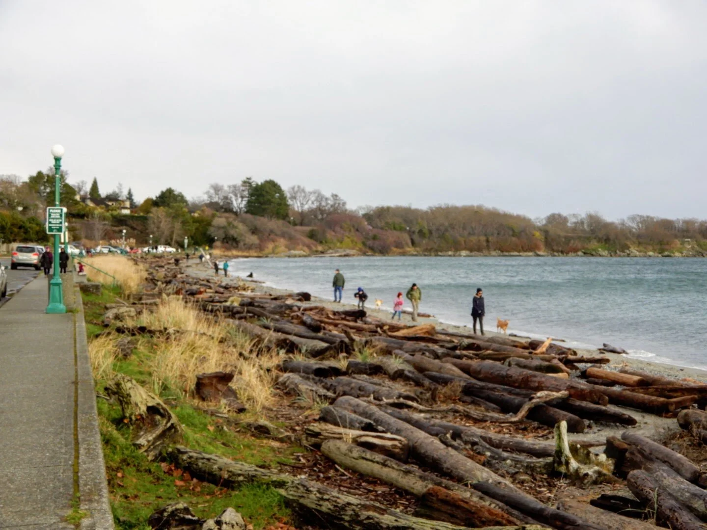 Sidewalking Estevan Village — Sidewalking Victoria