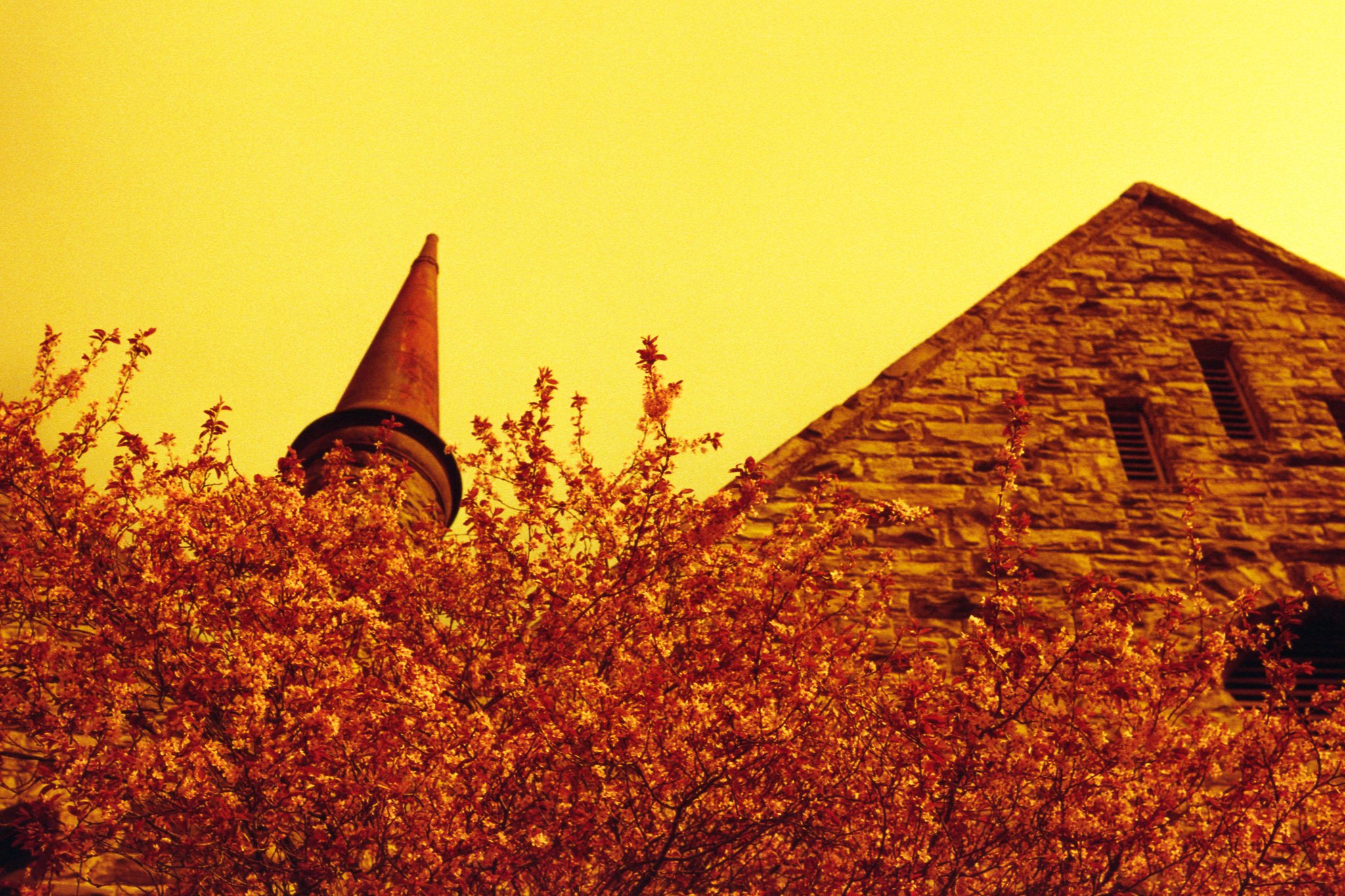 LomoRedscale015.jpg