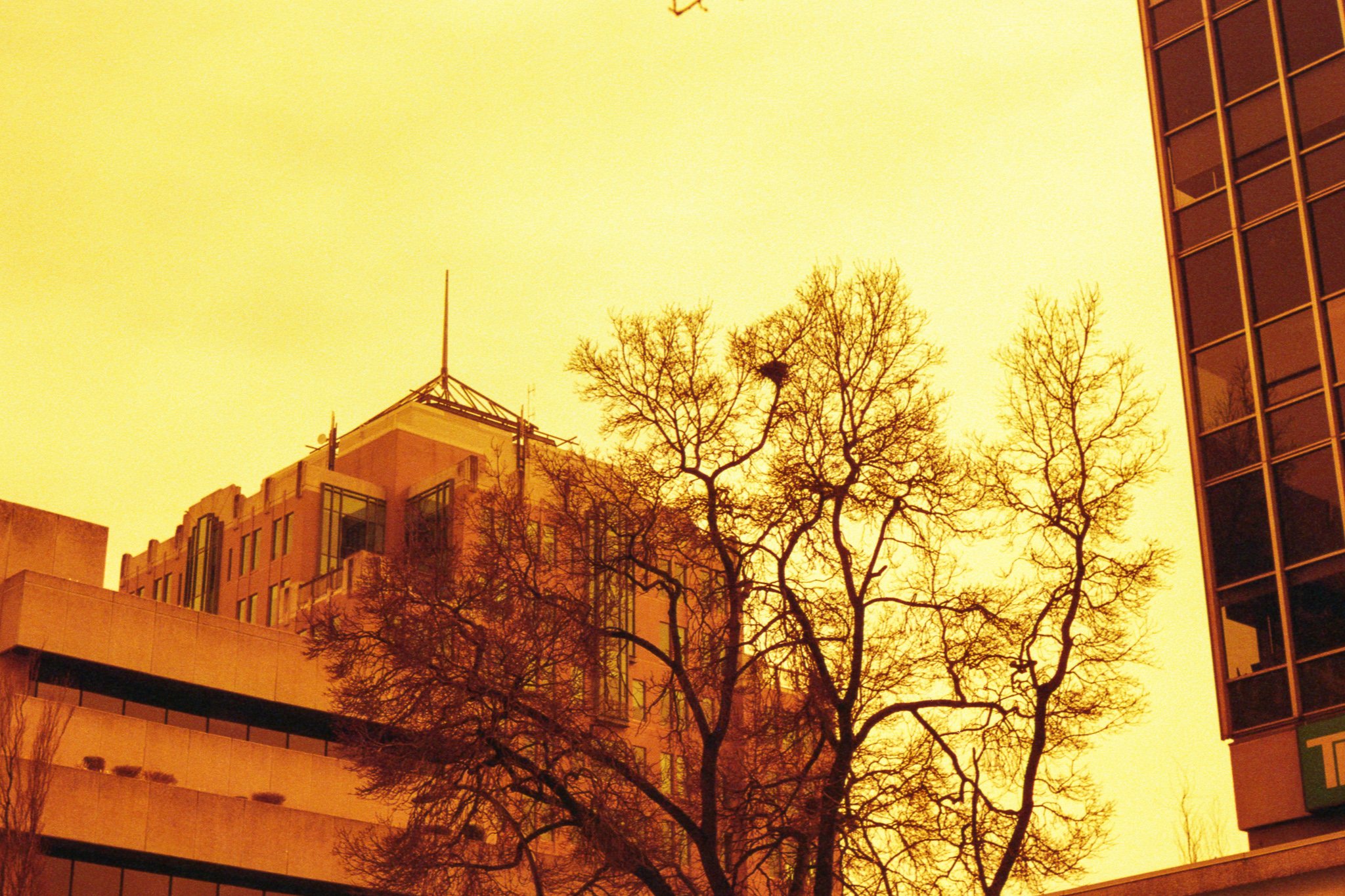 LomoRedscale022.jpg