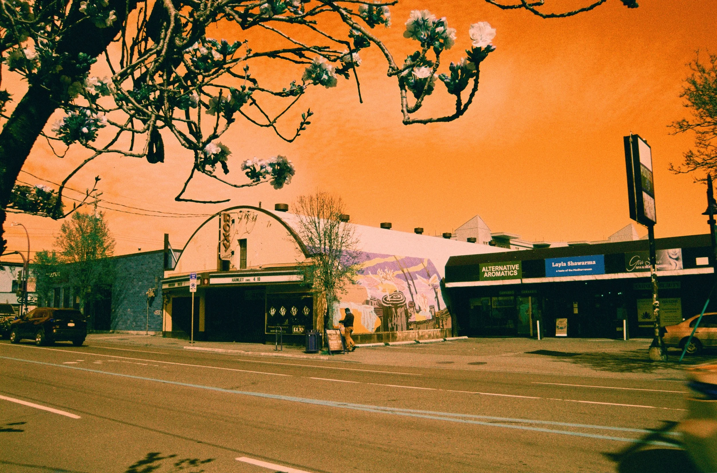 Switch Azure 125 - Harman’s New Creative Colour Film