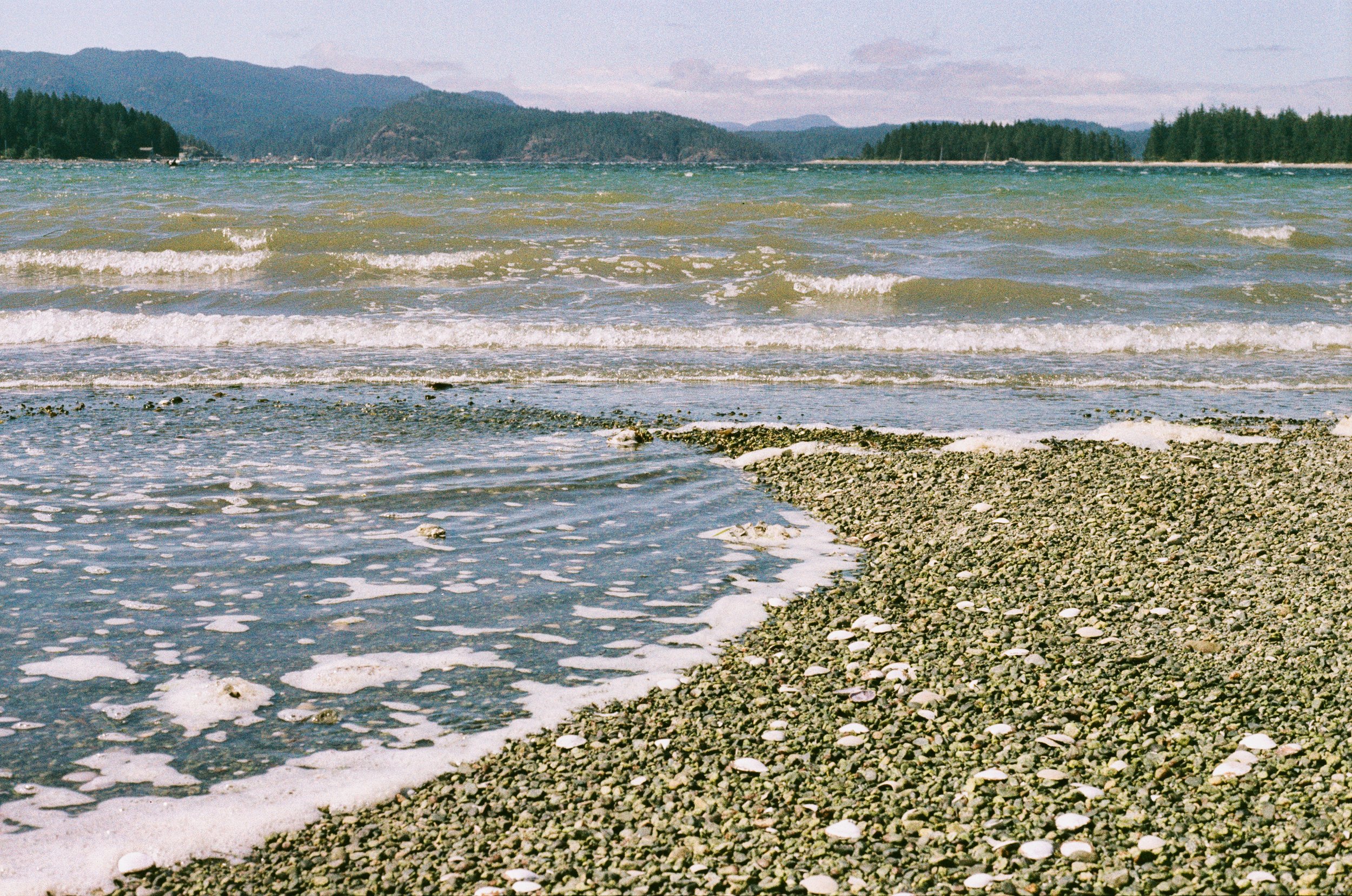 Flic Film’s Fusion 200 - A First Roll