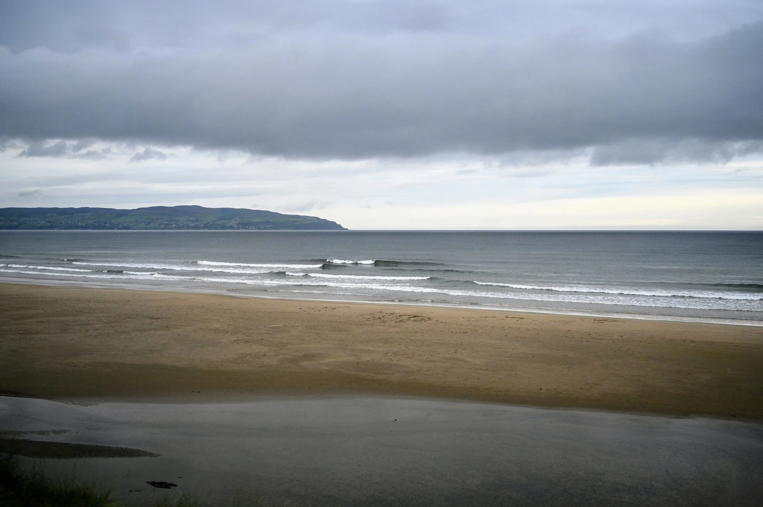 DSC_4568.jpg