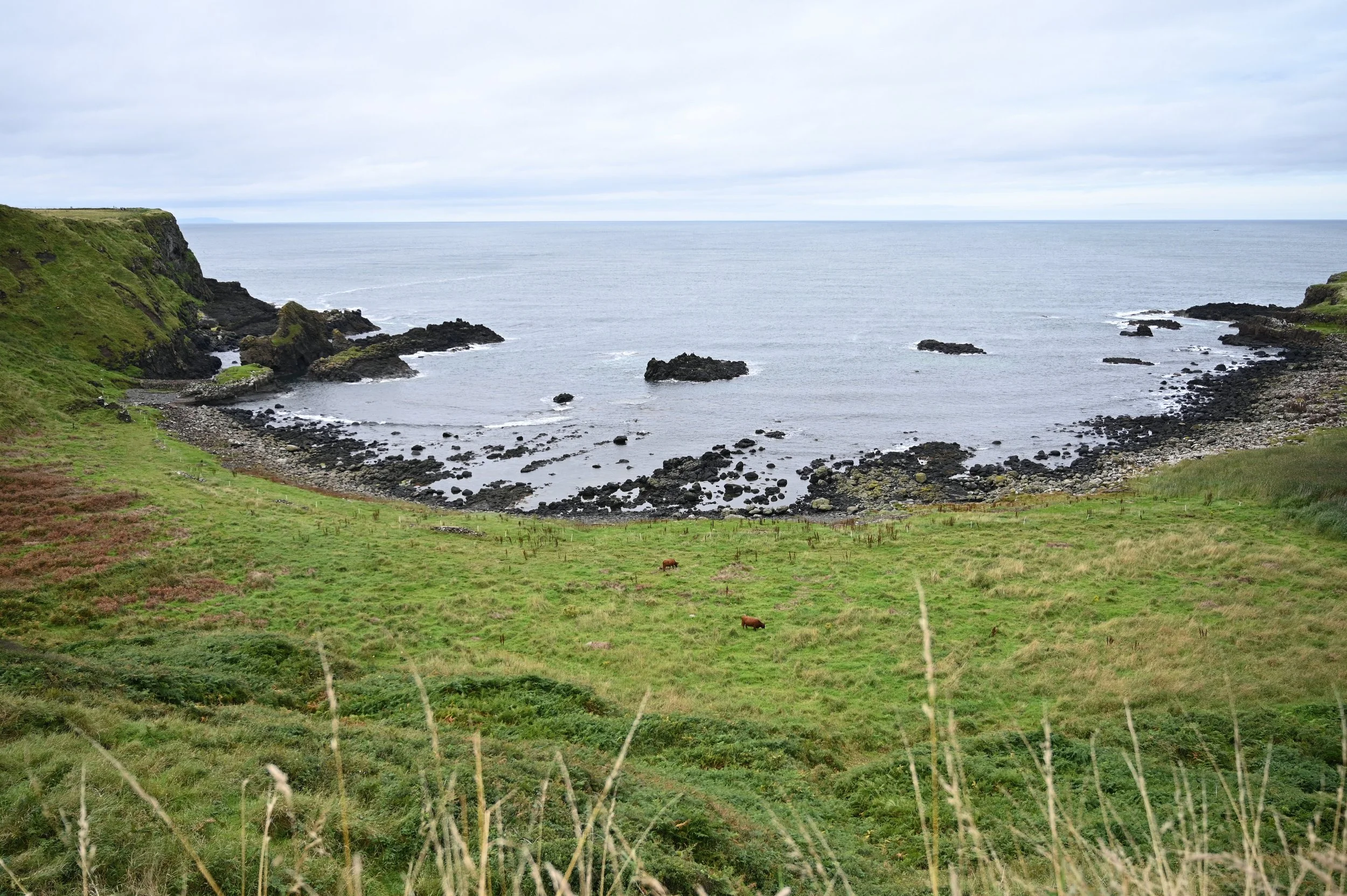 DSC_4588.jpg