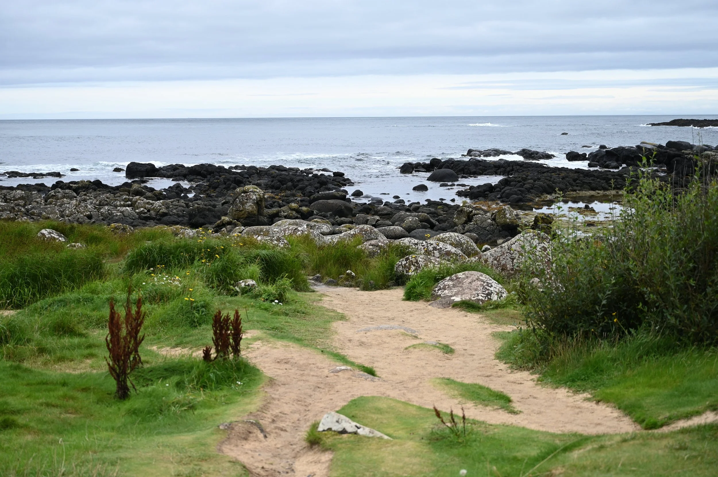 DSC_4599.jpg