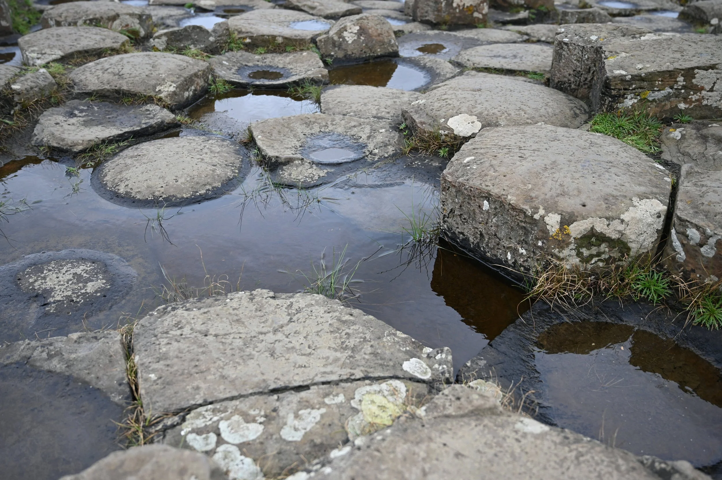 DSC_4609.jpg