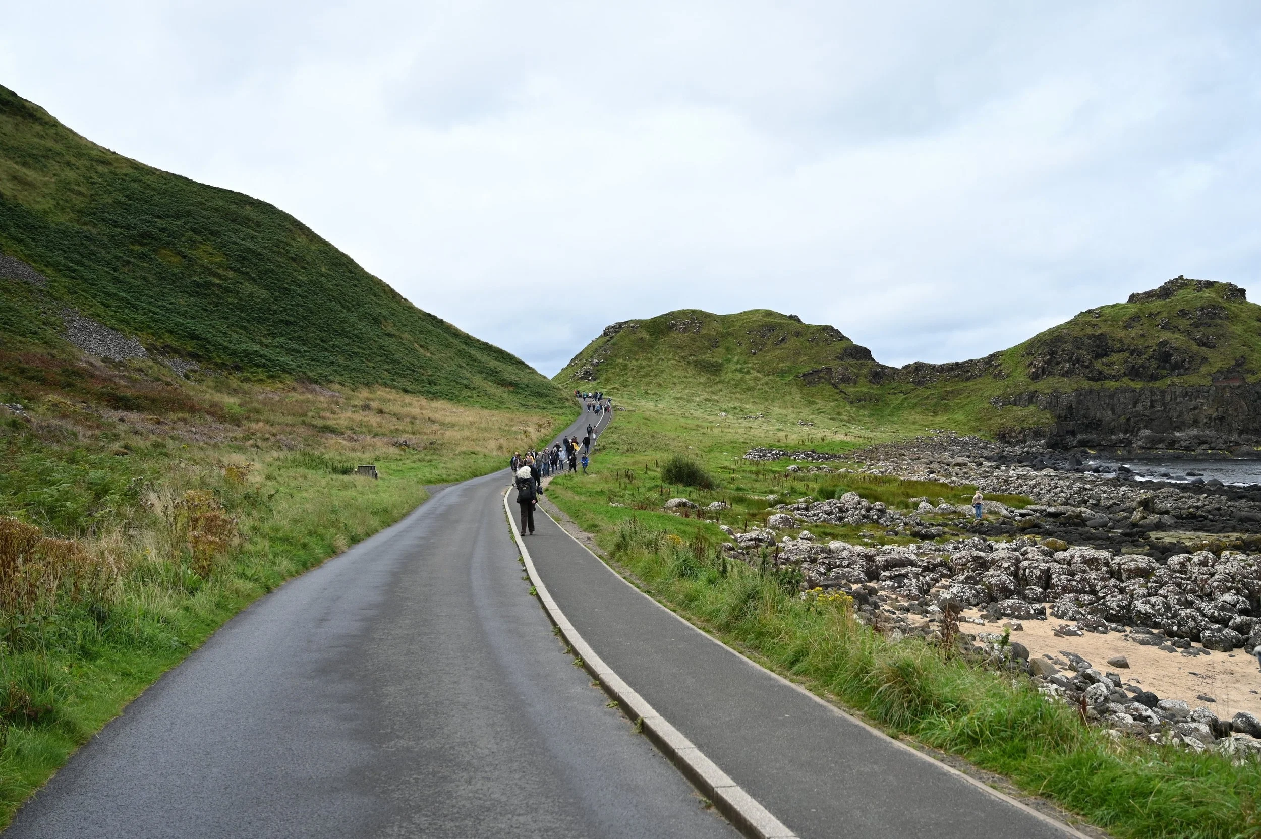 DSC_4617.jpg
