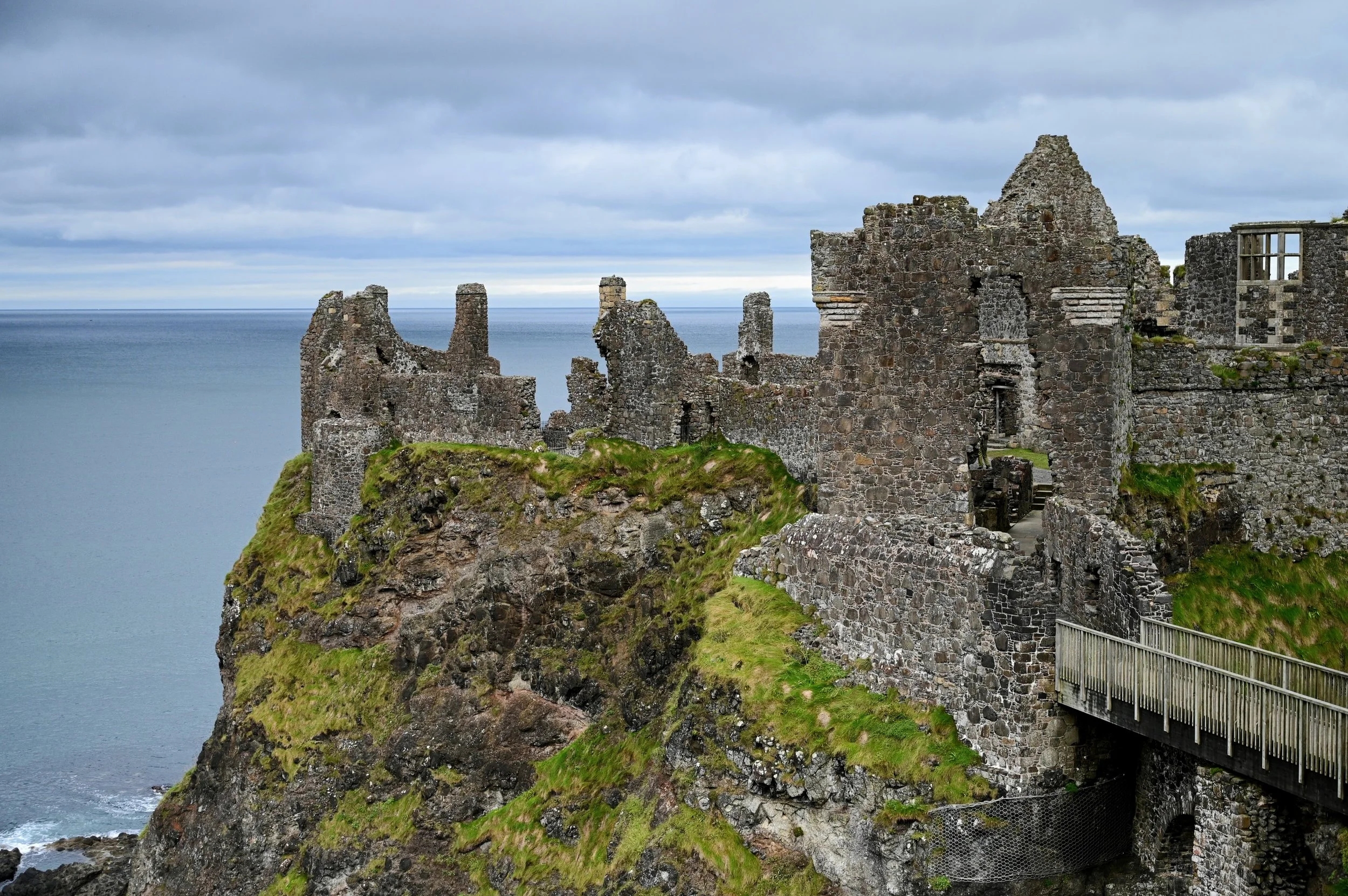 DSC_4637.jpg