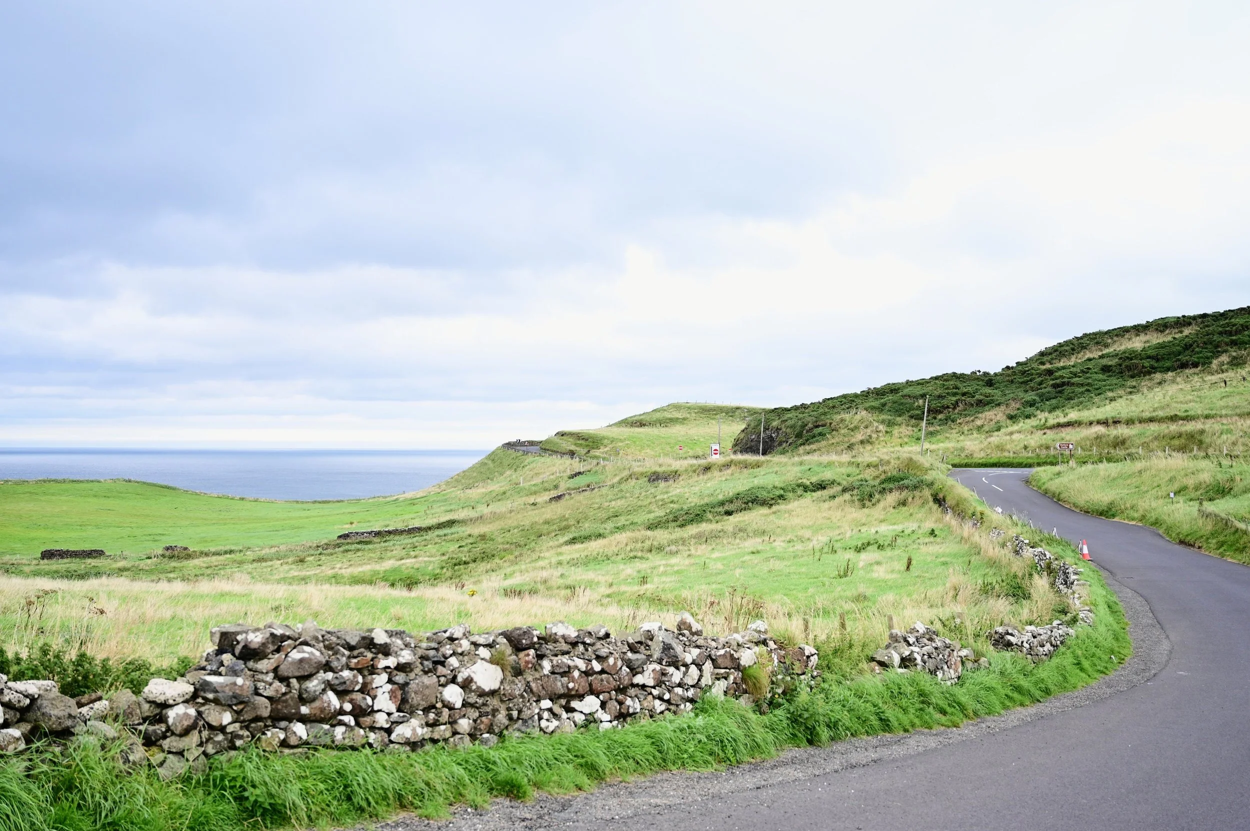 DSC_4663.jpg