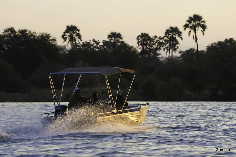 African Footprint Safaris