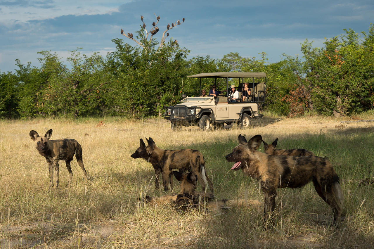 African Footprint Safaeris - Safari 2.jpg