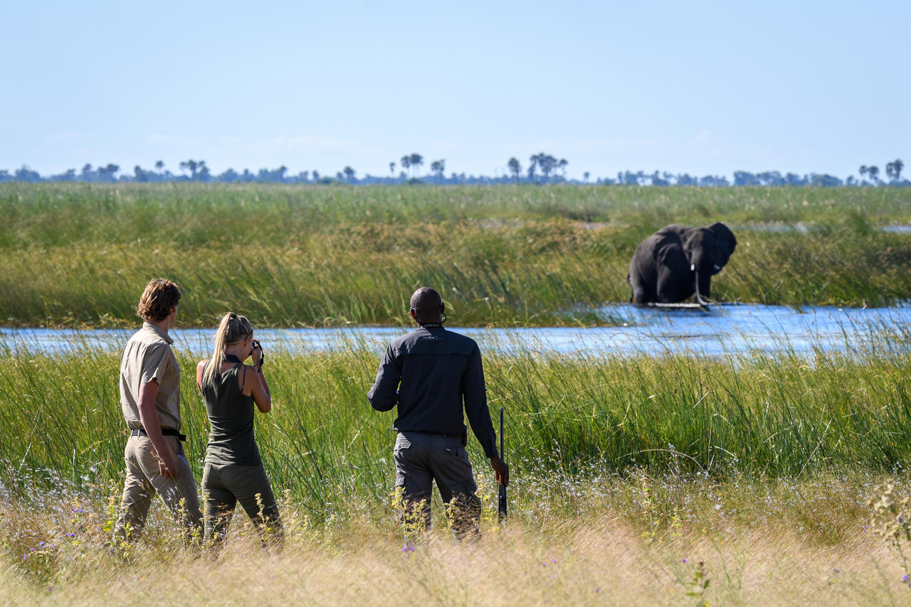 African Footprint Safaris - walk.jpg