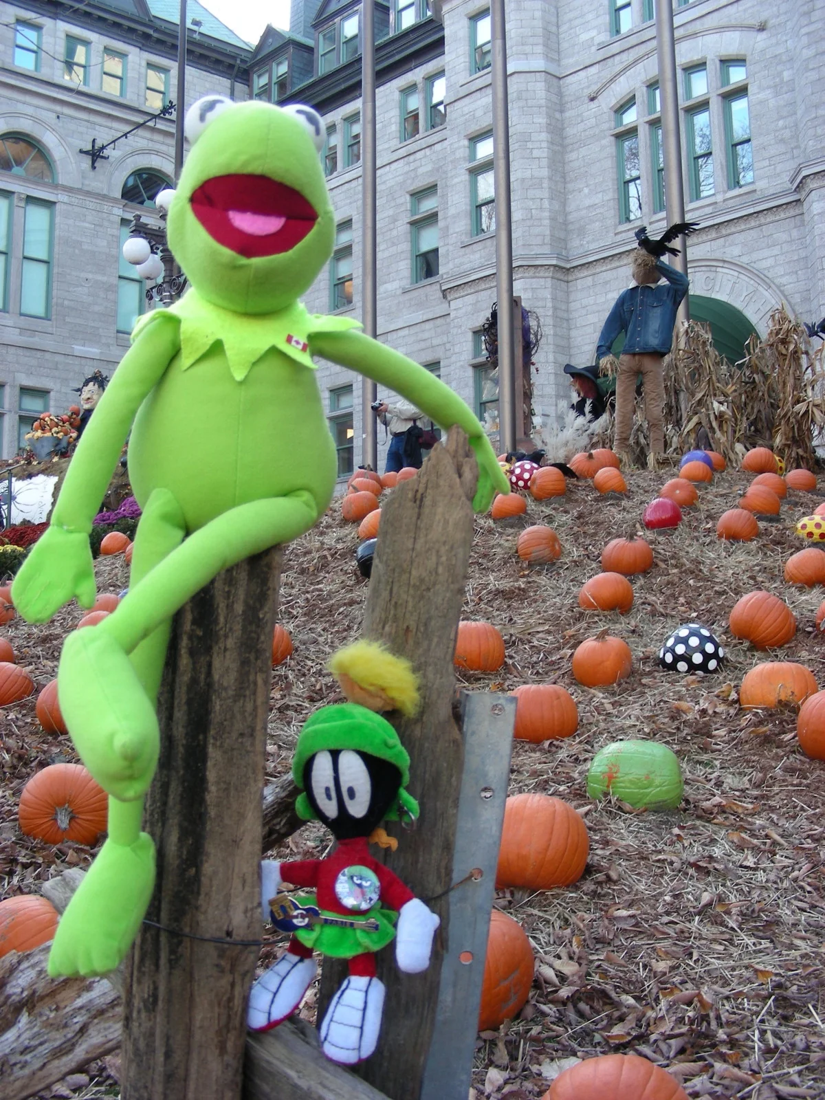 Froggie and Marvin love the Fall!