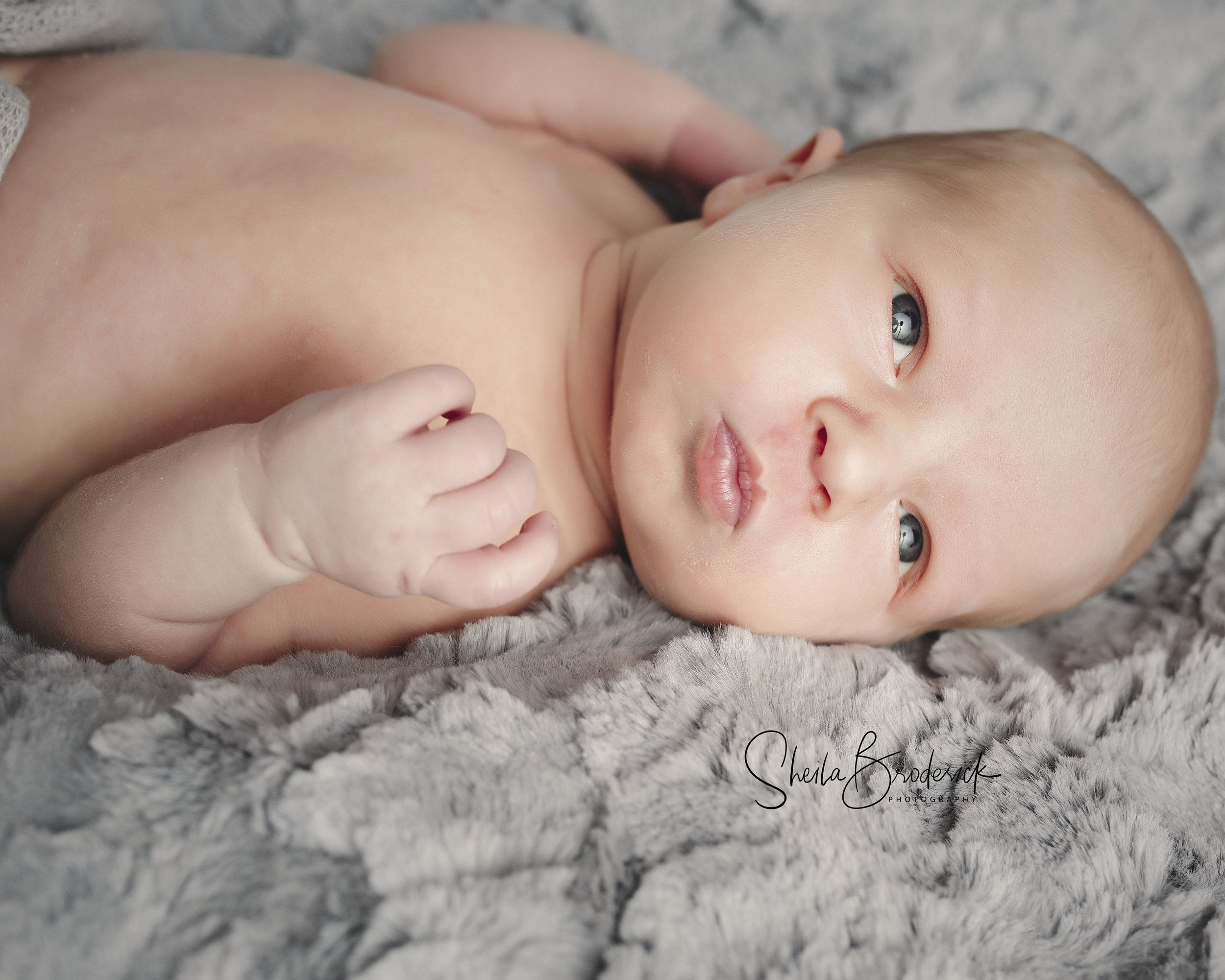 Maternity_and_Newborn_Sheila_Broderick_Photography_ (7).jpg