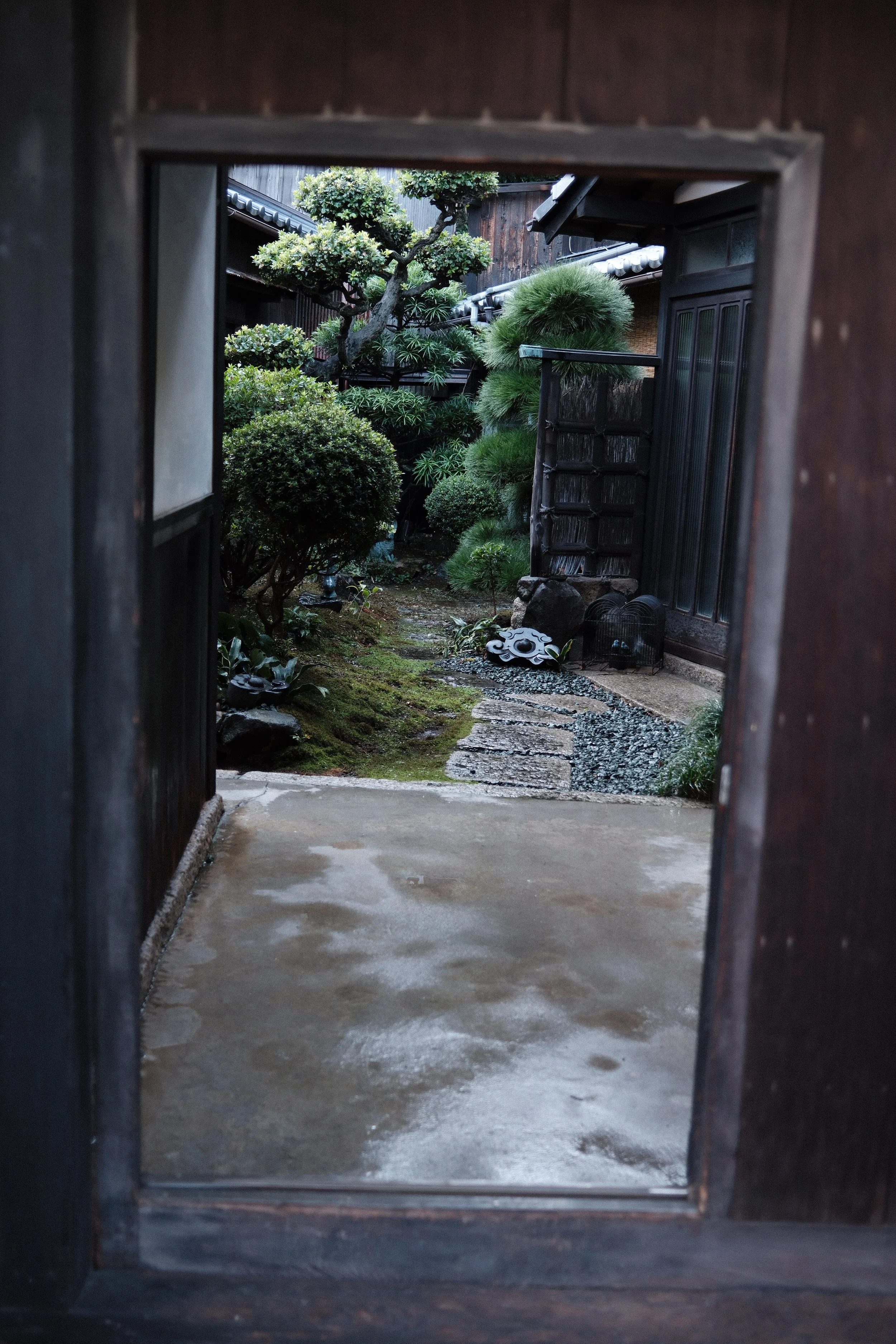DSCF2737.JPG