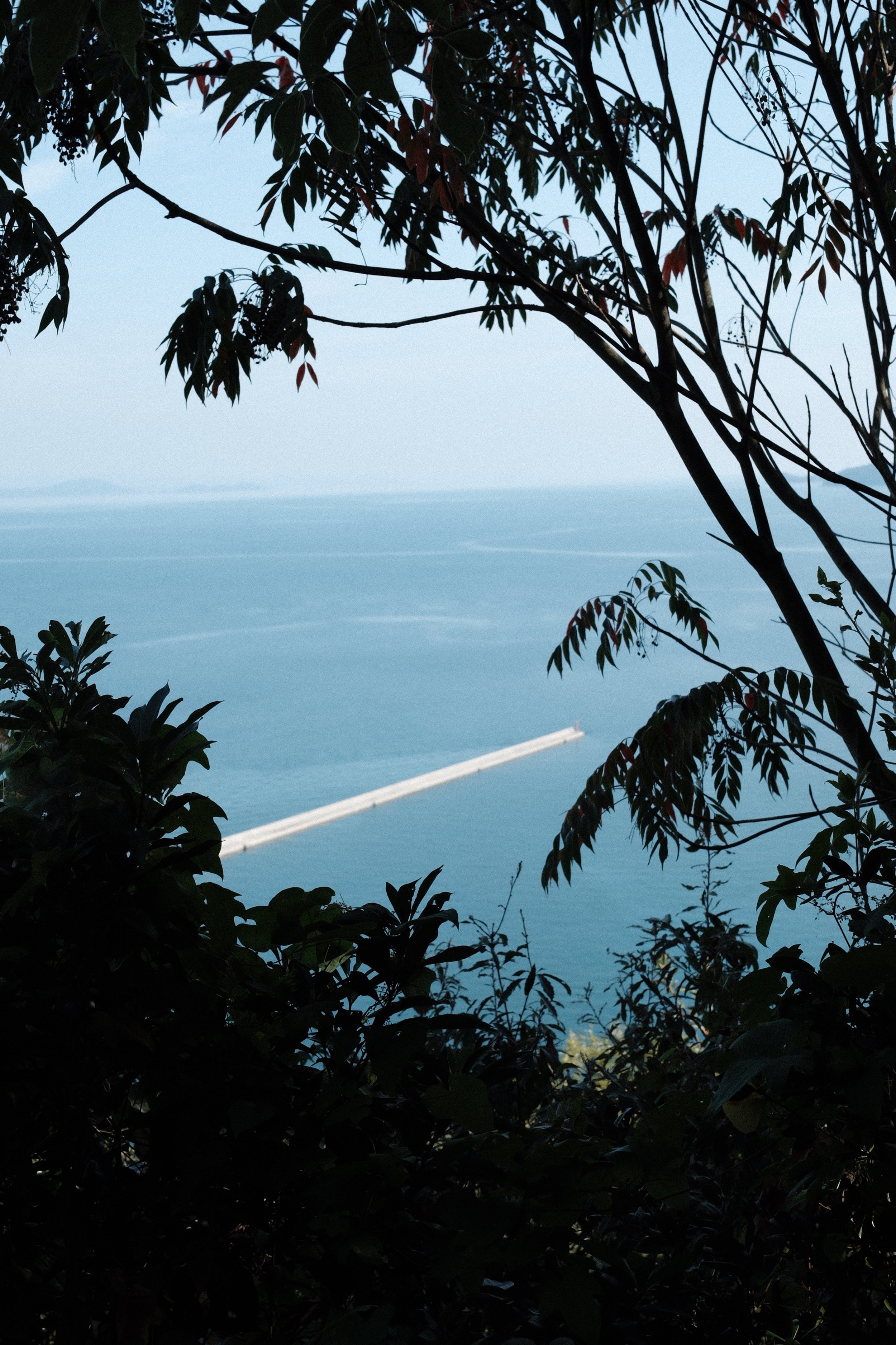 DSCF2792.JPG
